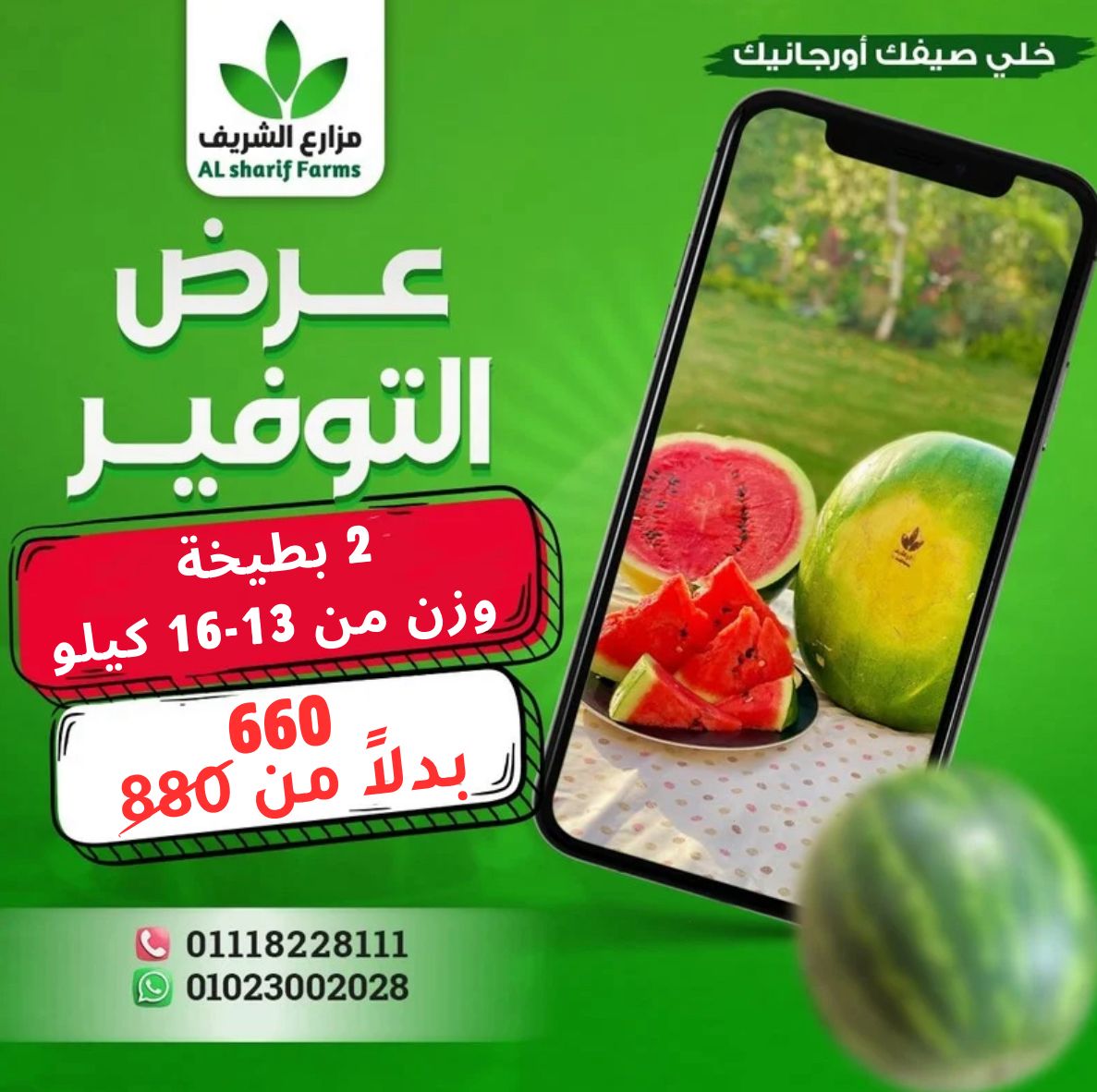عرض التوفير 2 بطيخه وزن من13-16 كيلو